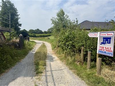 Picture 17